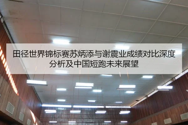 田径世界锦标赛苏炳添与谢震业成绩对比深度分析及中国短跑未来展望
